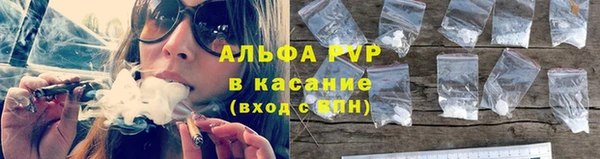 шишки Верея