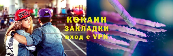 шишки Верея