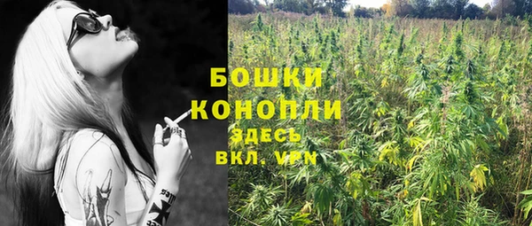 ГАЛЛЮЦИНОГЕННЫЕ ГРИБЫ Волоколамск