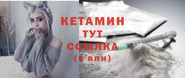 шишки Верея