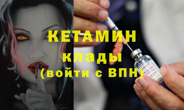 шишки Верея