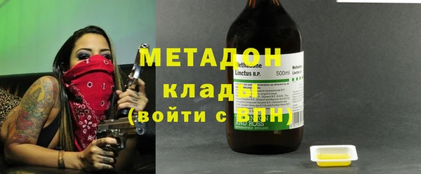 шишки Верея