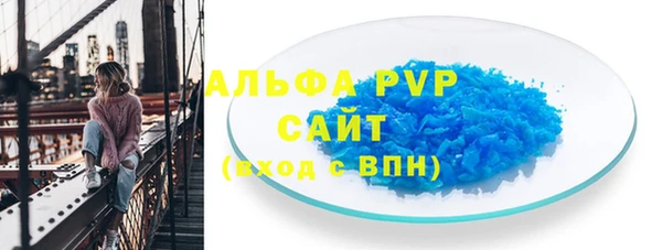 шишки Верея