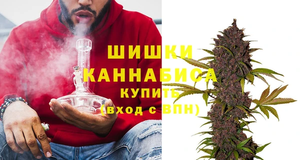 шишки Верея