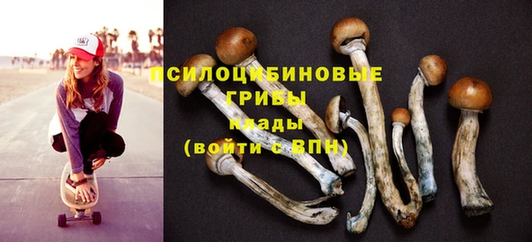 шишки Верея