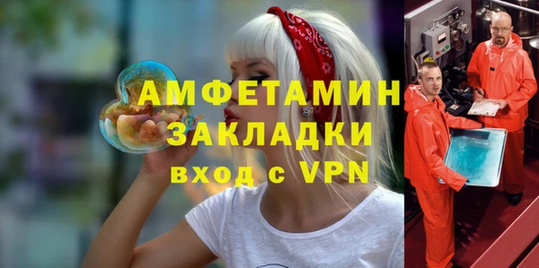 шишки Верея