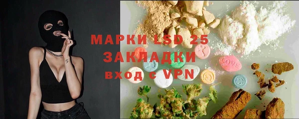 шишки Верея