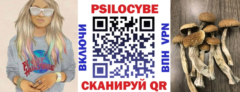 Псилоцибиновые грибы Psilocybe  где продают наркотики  Чебоксары 